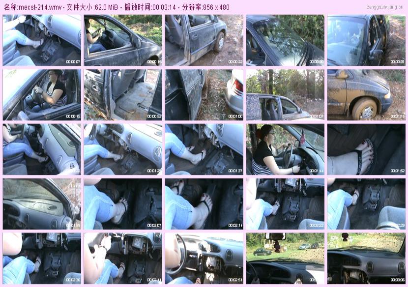 mecst-214